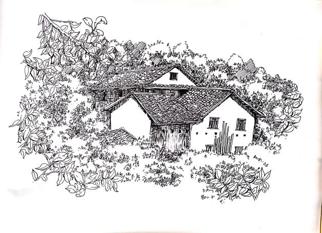 1714285739085076264.png 图片 9.png