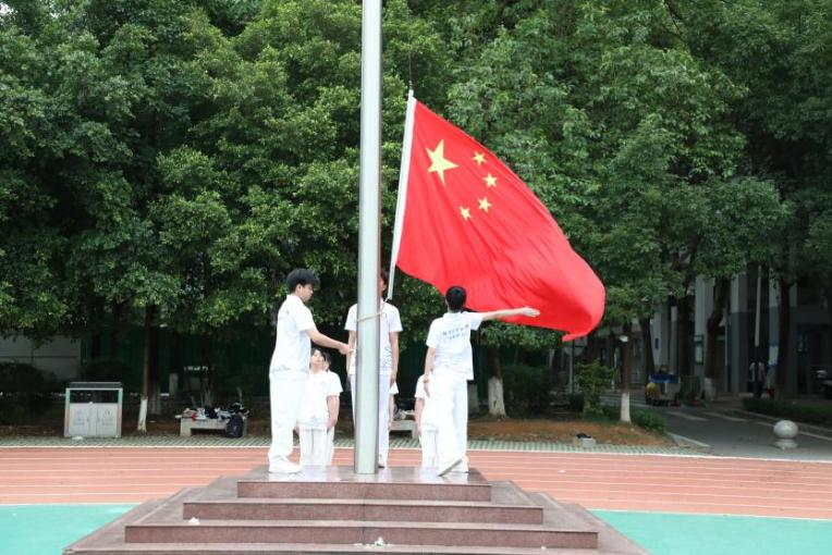 1717149289602051035.png 图片 3.png
